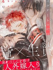 纸鸢街九号 封面